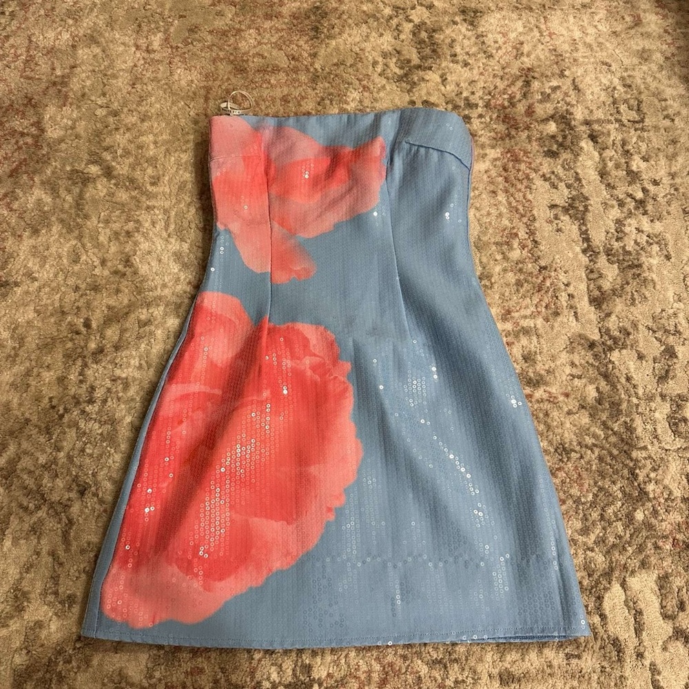 White Fox Make up My Mind mini dress
XS
Blue/Pink
NWT